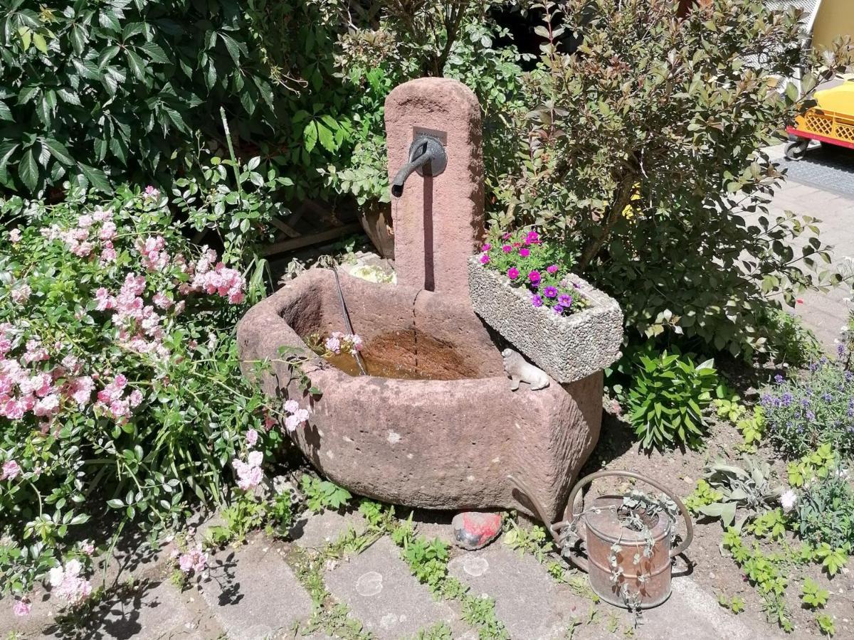 Jogis Ferienwohnungen Freiburg im Breisgau Kültér fotó