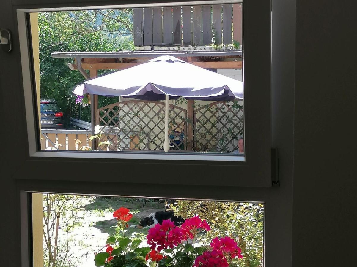 Jogis Ferienwohnungen Freiburg im Breisgau Kültér fotó